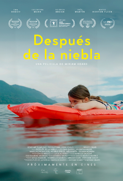 DESPUÉS DE LA NIEBLA